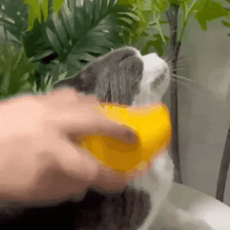 Perie cu Abur pentru Animale